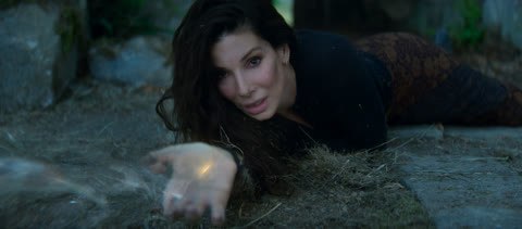 Practical Magic: Family Legacy